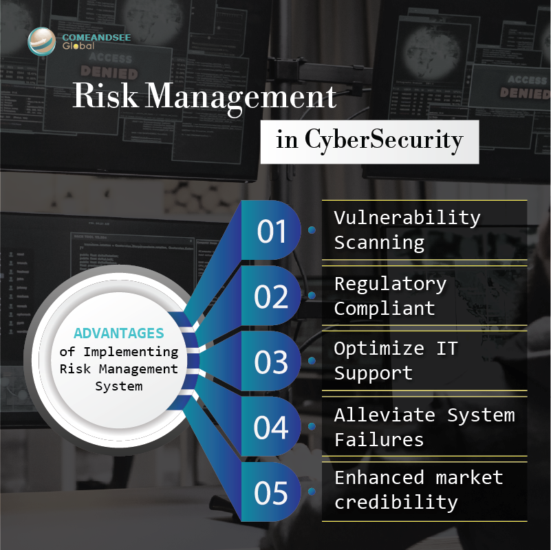 Risk Management in Cybersecurity